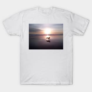 Dog Chasing Sunset in California T-Shirt